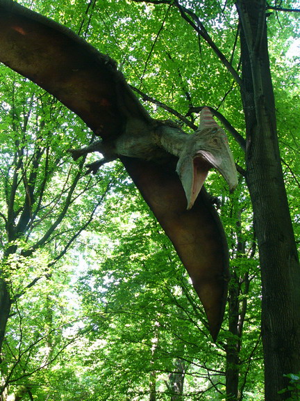 169 pteranodon