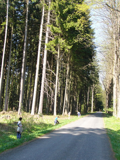 P1260674