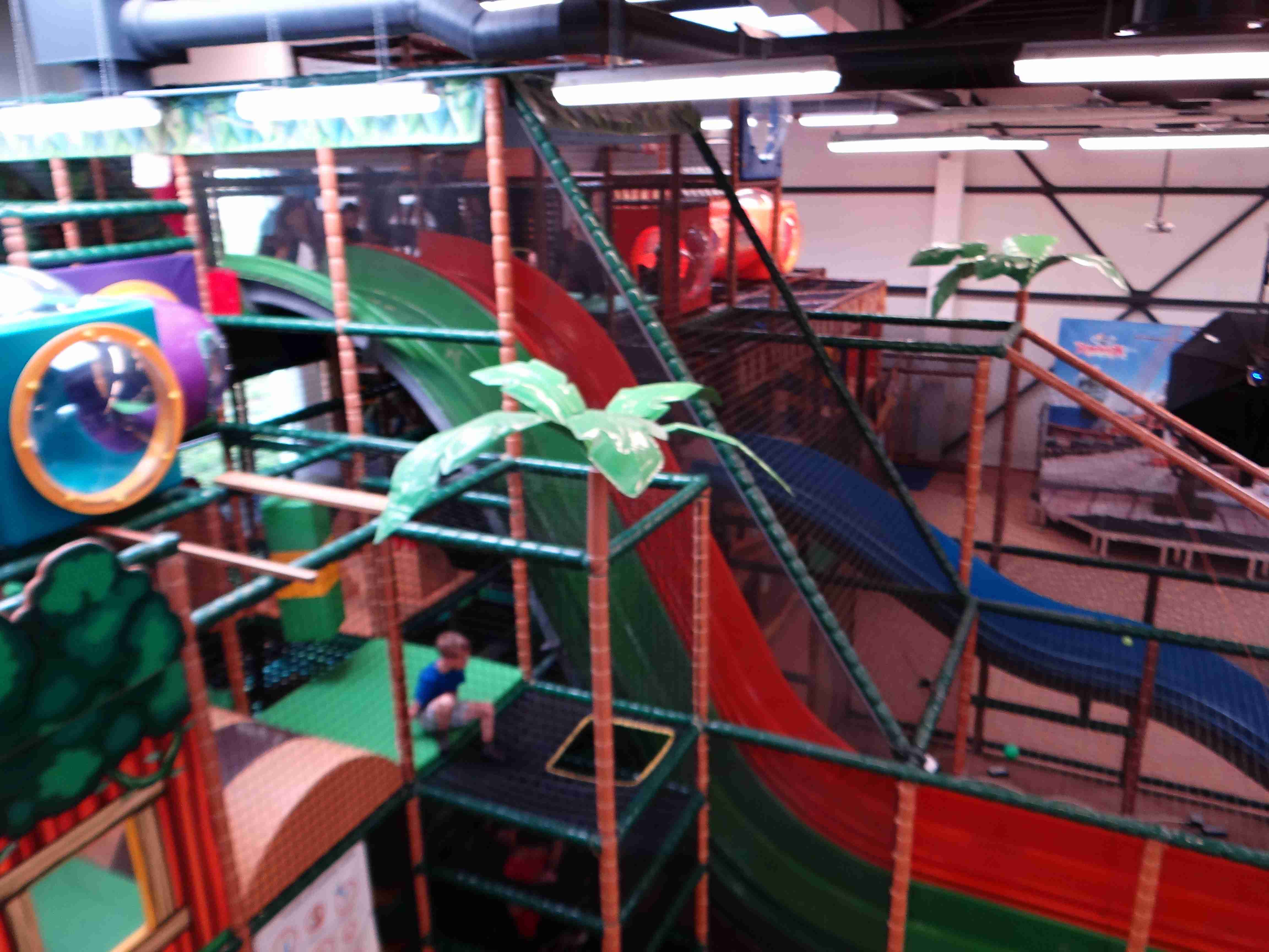 DSC02397 (1)