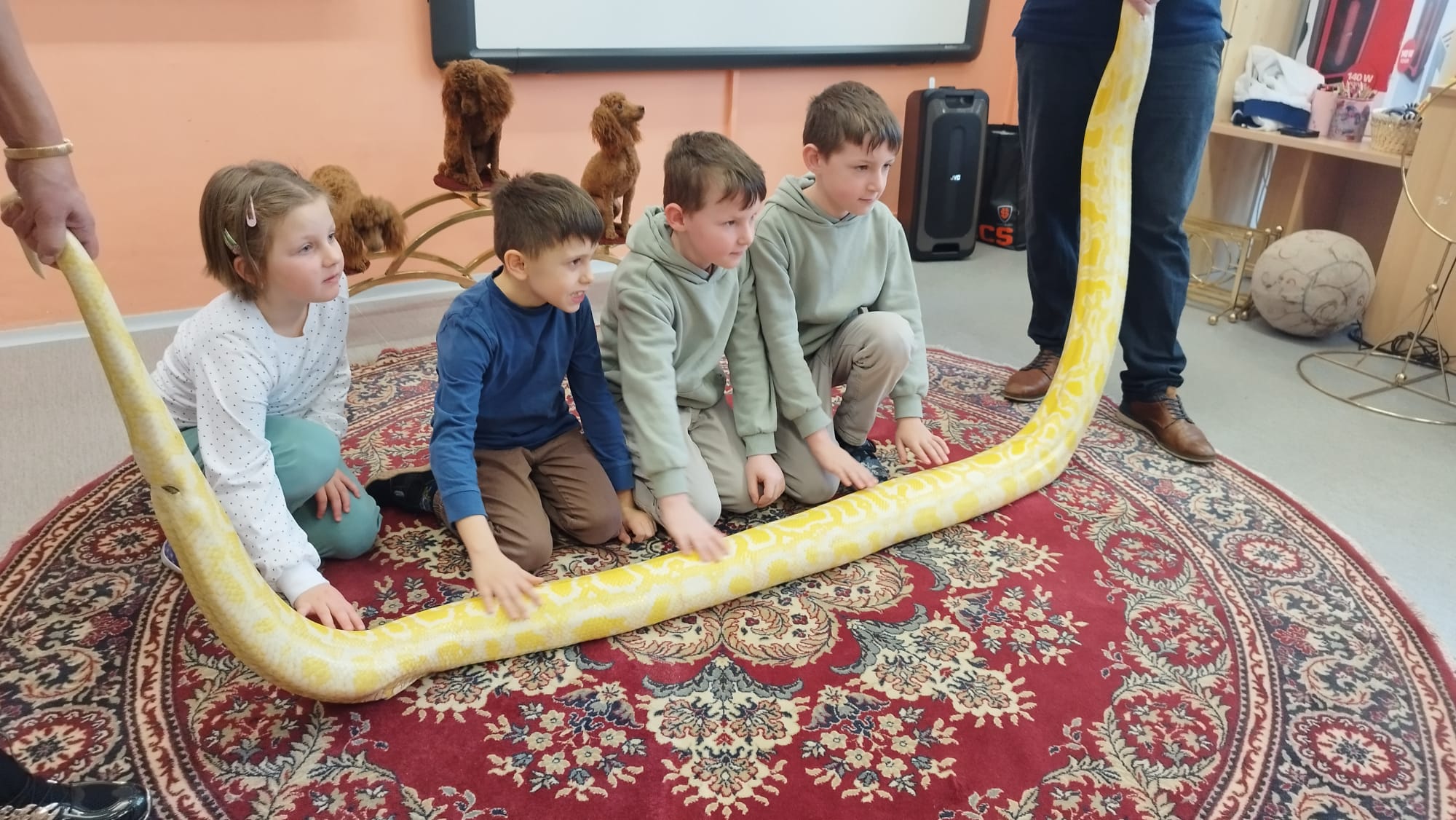 WhatsApp Image 2026-02-23 at 17.37.46 (1)