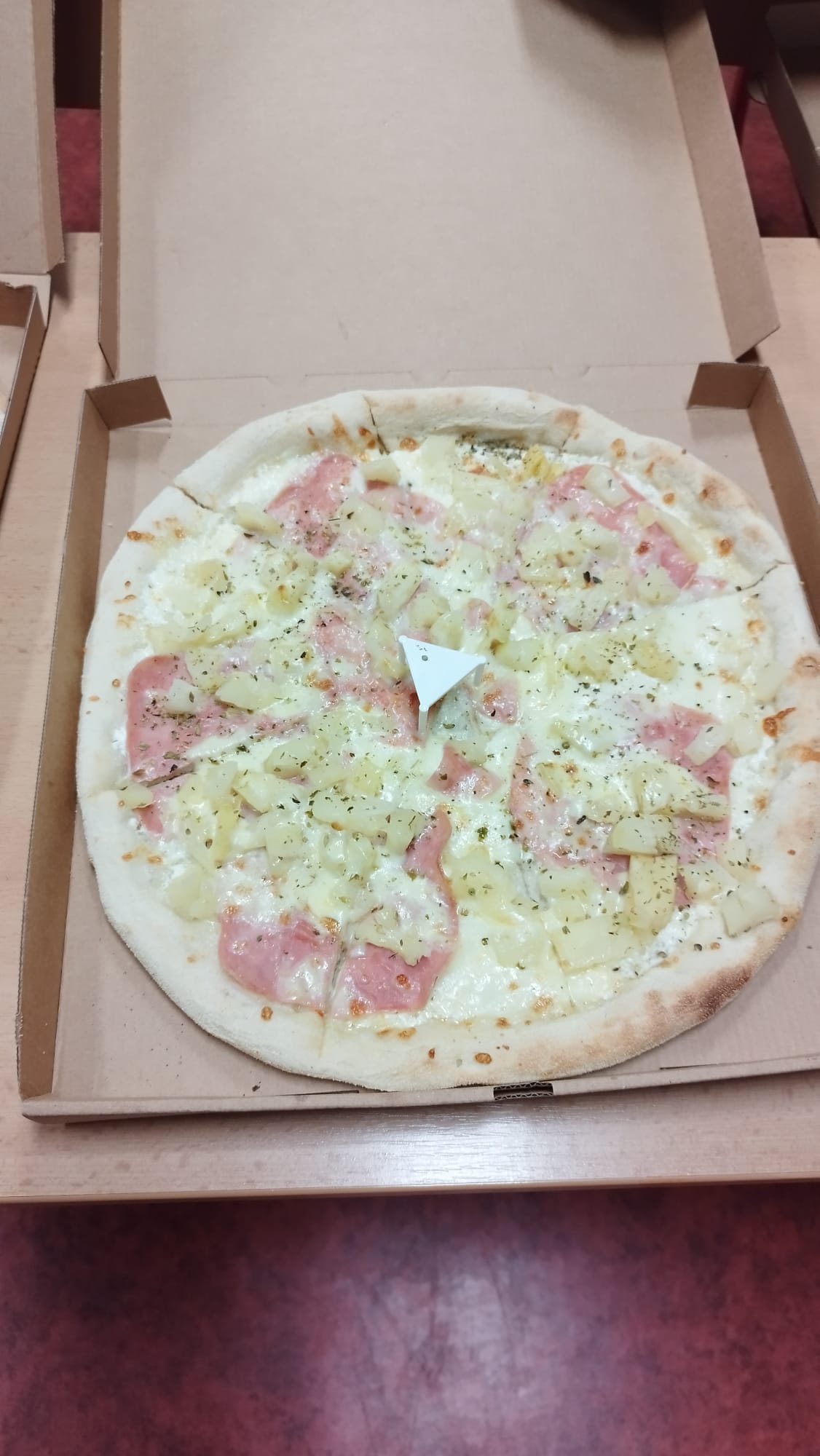 WhatsApp Image 2026-03-30 at 13.08.27 (1)