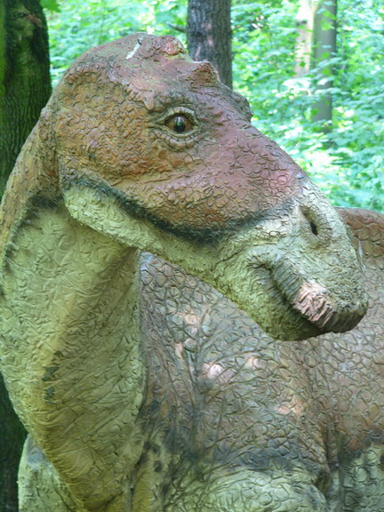 159 maiasaura