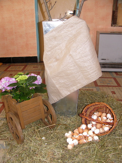 01.JPG
