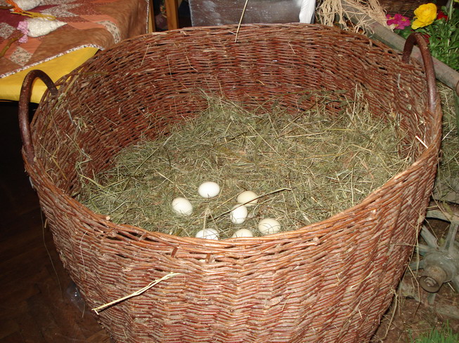 DSC03730_resize.JPG