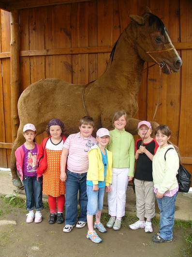 sikland-2010-001