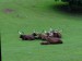 DSC07500 (1)