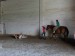 DSC01121 (1)