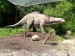 184 apatosaurus