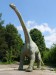 146 brachiosaurus