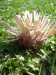 DSCN1715_resize